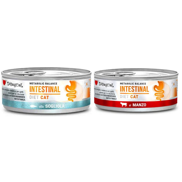 Disugual Intestinal Gato Pack 12X85Gr Varios Sabores: Ternera Y Lenguado