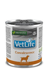 Farmina Pienso Vet Life Perro Convalescence Caja 6X300Gr