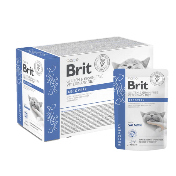 Brit Comida Humeda Gf Dietaa Gato Pouch Filetes En Salsa Recovery 12X85 G