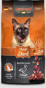 Leonardo Gato Adult