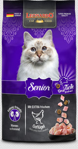 Leonardo Gato Senior