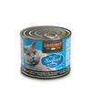 Leonardo Gato Rico En