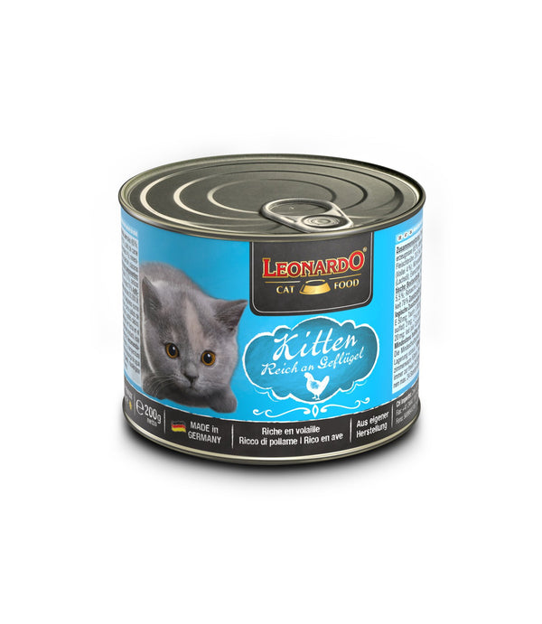 Leonardo Gato Kitten Rico En Ave