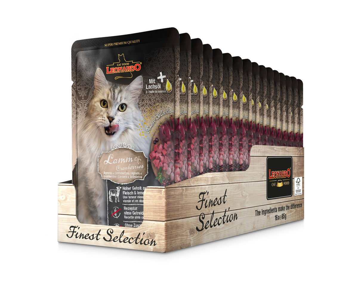 Leonardo Gato Menu de