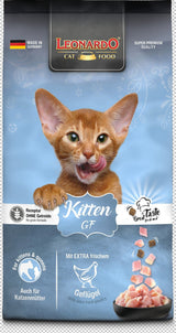 Leonardo Gato Kitten GF
