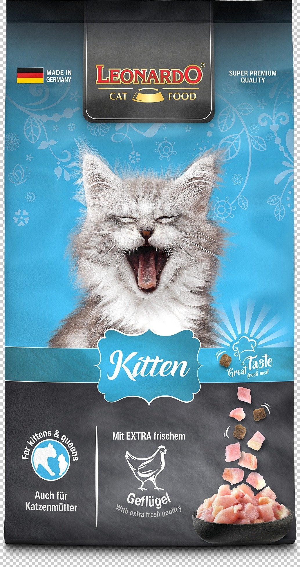 Leonardo Gato Kitten