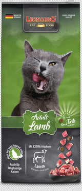 Leonardo Gato Adult