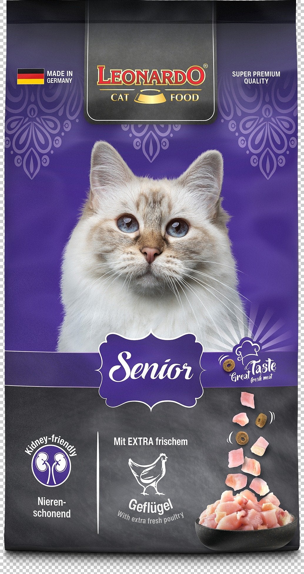 Leonardo Gato Senior
