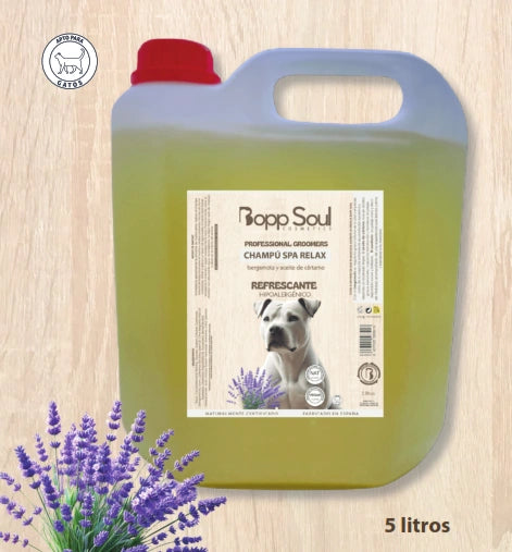 Boop Soul Champú Pieles Sensibles Lavanda Y Cártamo Spa Relax Hipoalergénico 5L