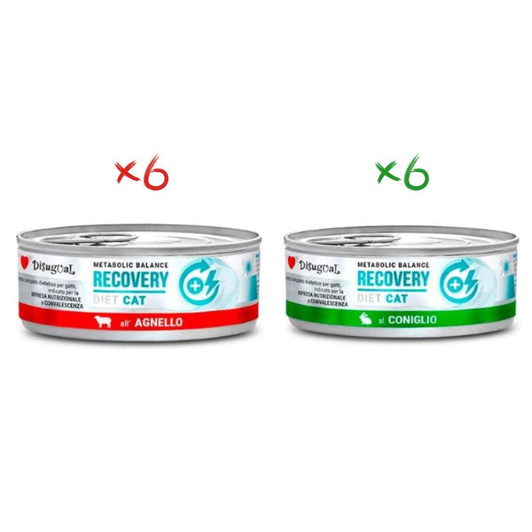 Disugual Recovery Gato Pack 12X85Gr Varios Sabores: Conejo Y Cordero