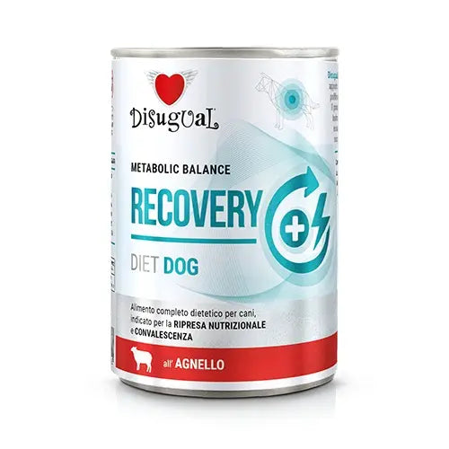 DISUGUAL DIET DOG RECOVERY