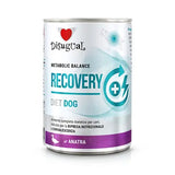 DISUGUAL DIET DOG RECOVERY