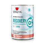 DISUGUAL DIET DOG RECOVERY