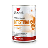 DISUGUAL DIET DOG INTESTINAL