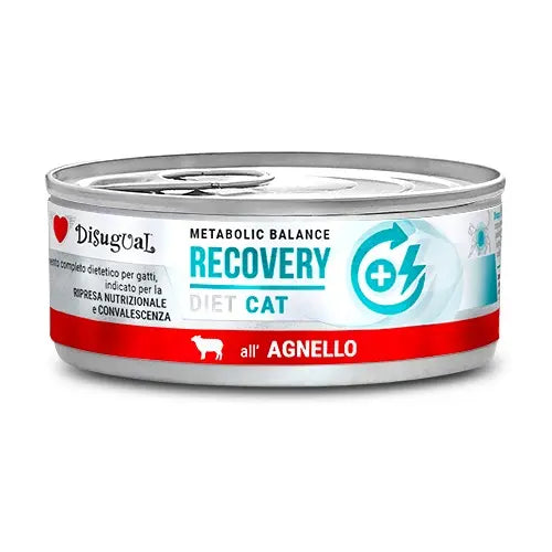 DISUGUAL DIET CAT RECOVERY