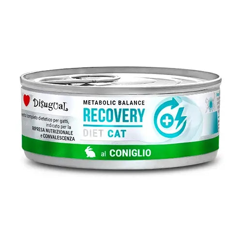 DISUGUAL DIET CAT RECOVERY
