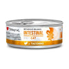 Disugual Dieta Gato Intestinal Pavo 85Gr