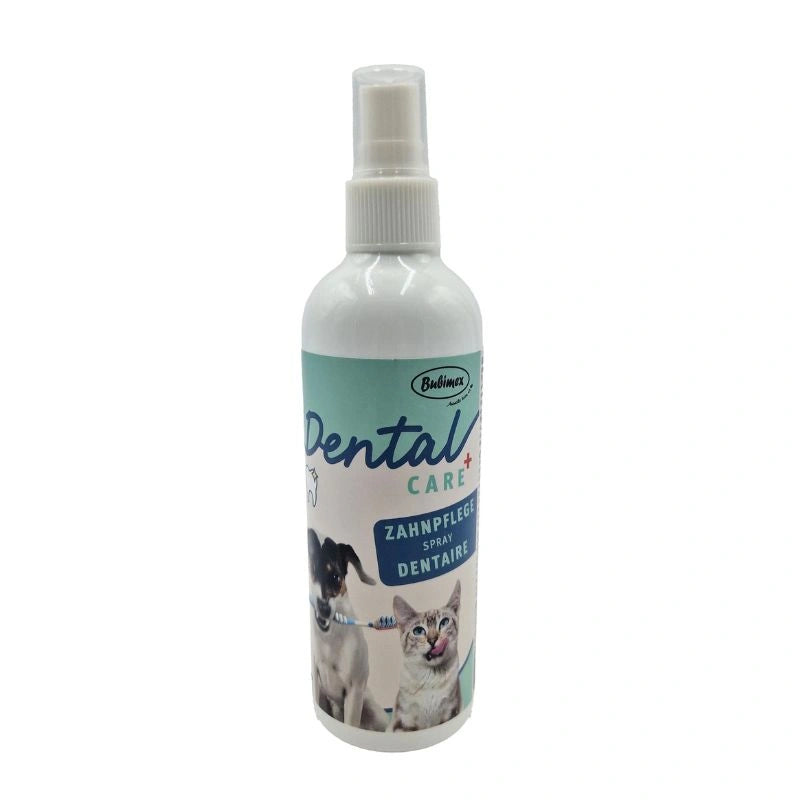Dental+ Spray dental 175ml