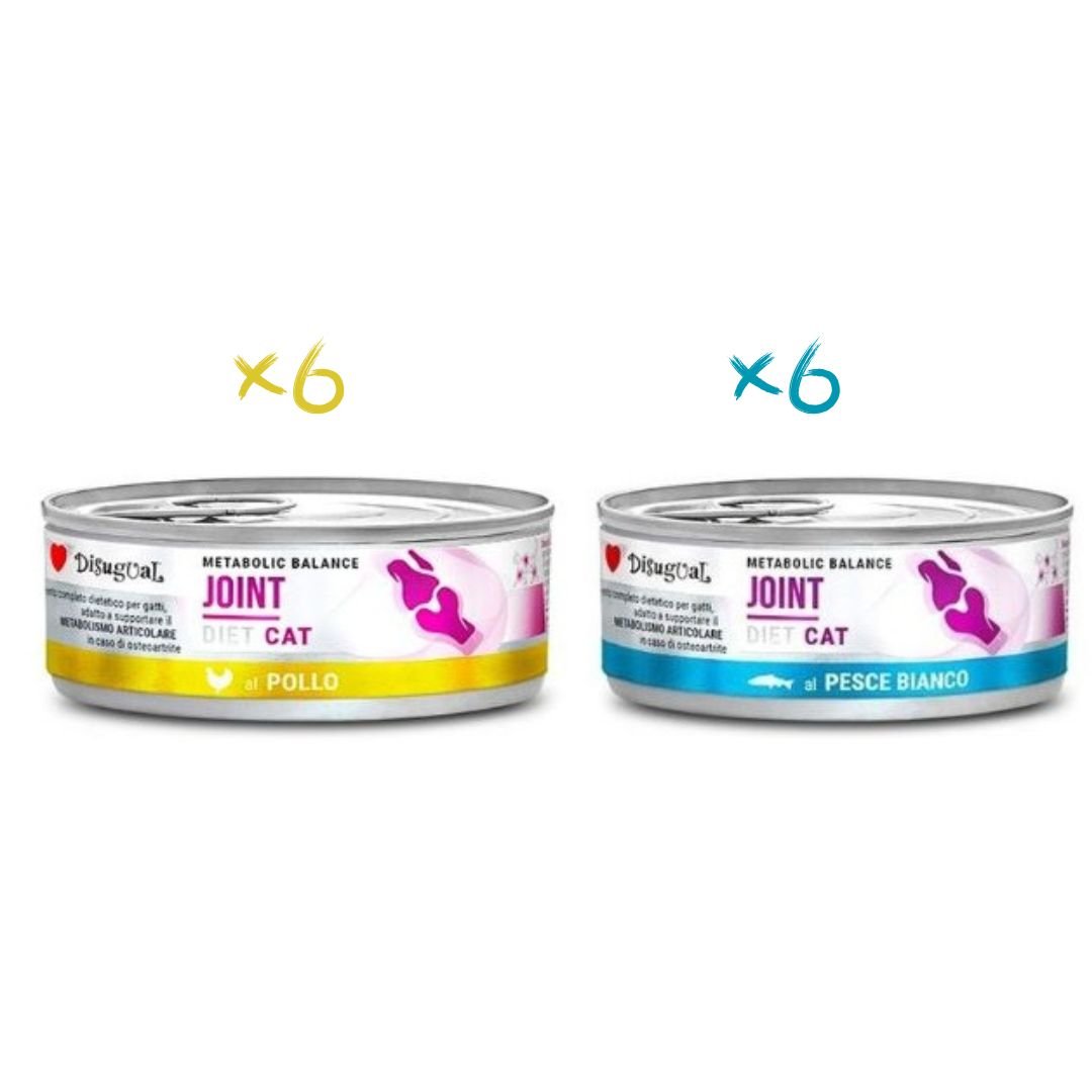 Disugual Joint Gato Pack 12x85Gr Varios Sabores: Pollo y Pescado blanco