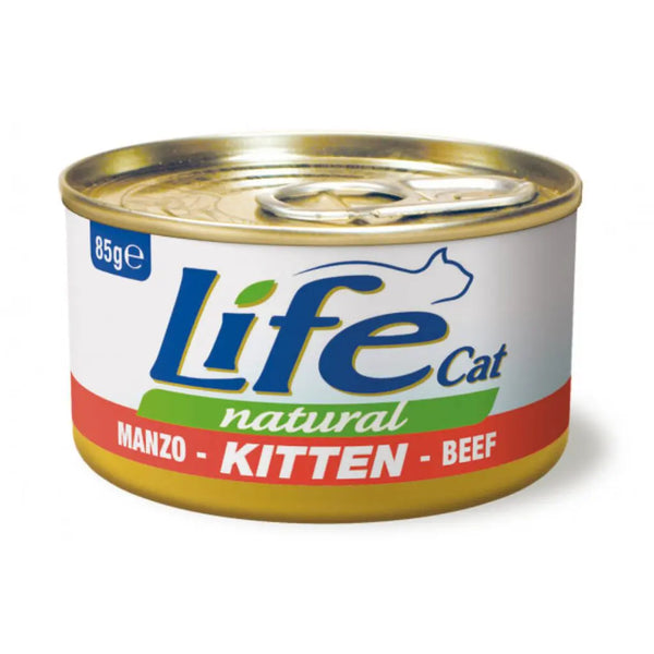 Life Gato Lata Para Gatos – Kitten