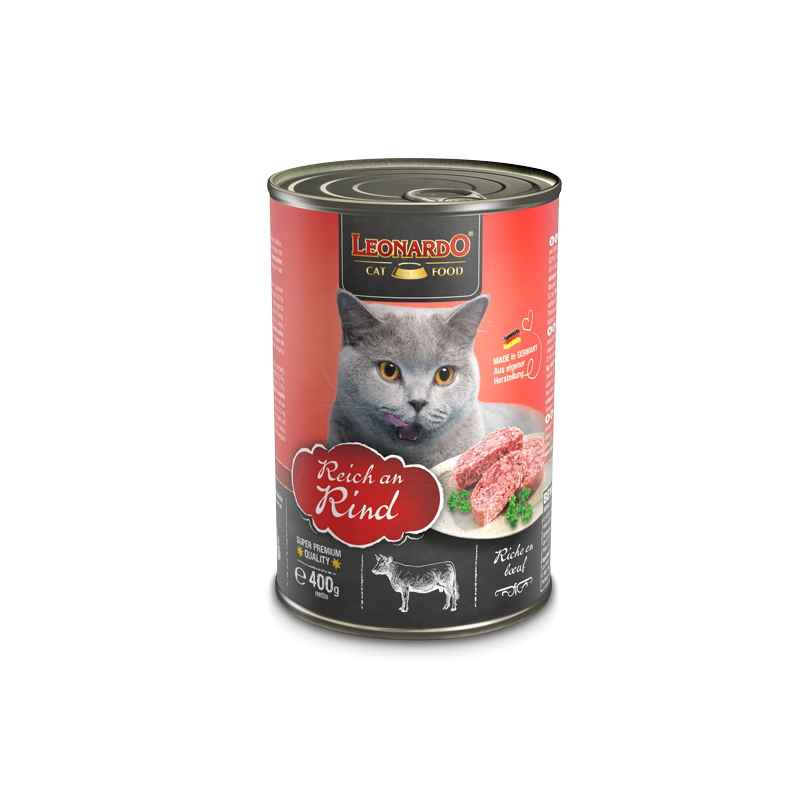 Leonardo Gato rico en
