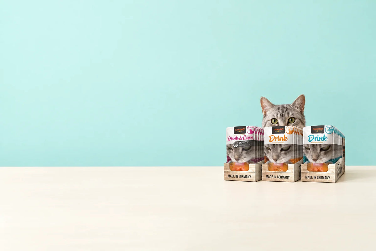 3 cajas de Leonardo Drink por 38,90 €