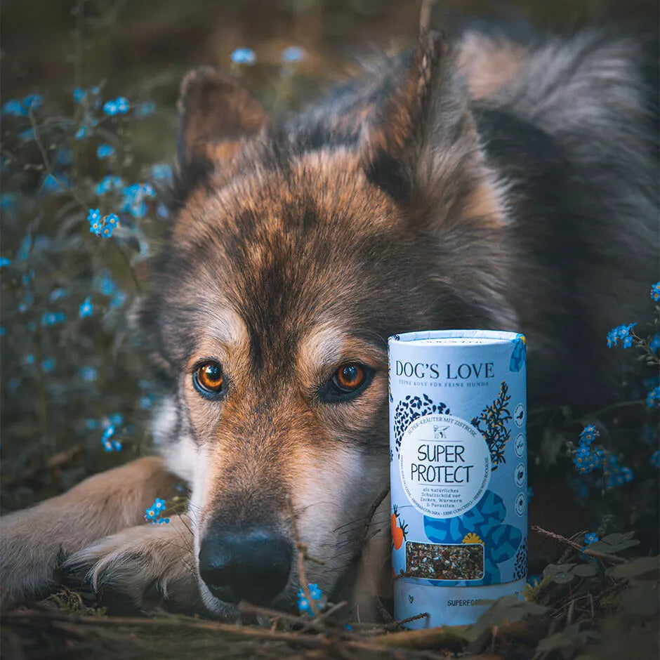 Dog’s Love Hierbas Super Protect, Ayuda natural contra las garrapatas