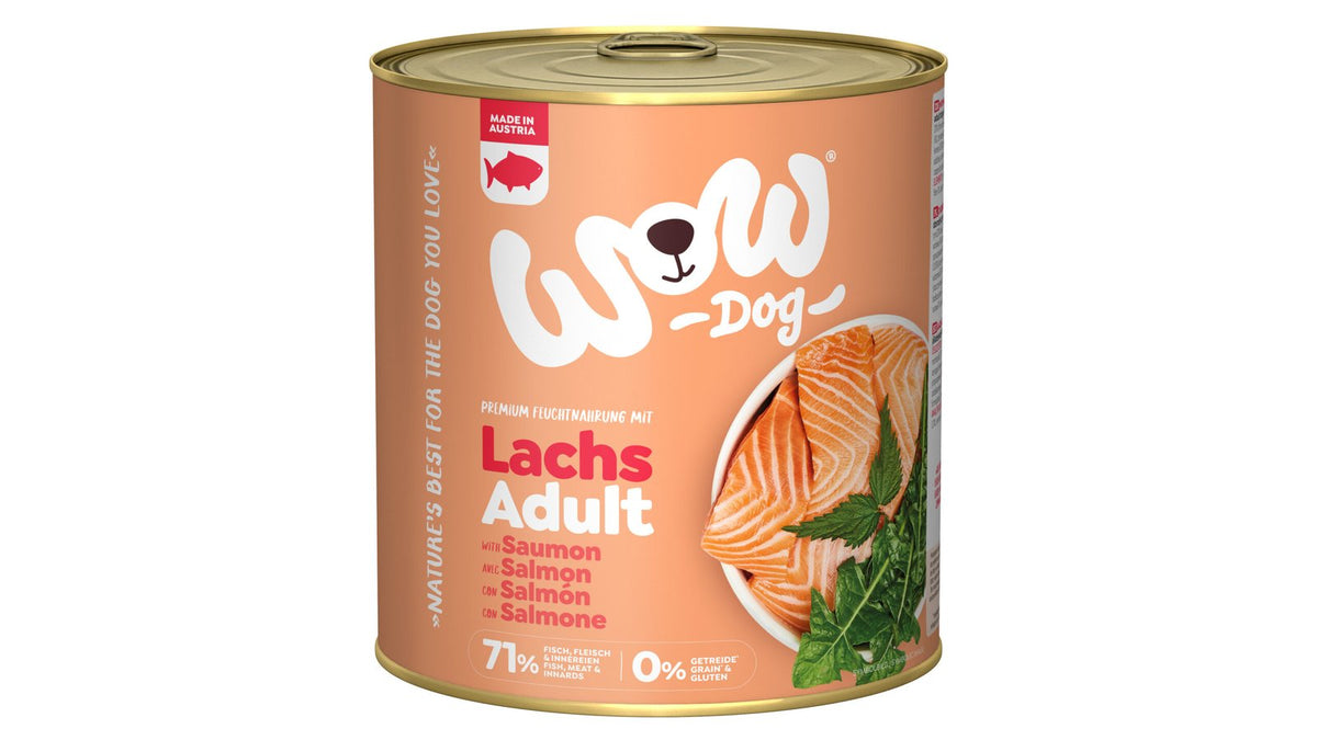 WOW ALIMENTO HÚMEDO DE SALMÓN CON DIENTE DE LEÓN PERRO 6X800GR
